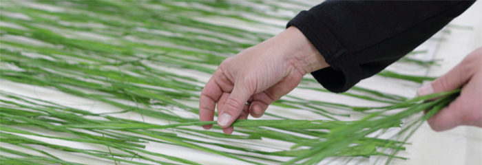 デザインパネル_素材