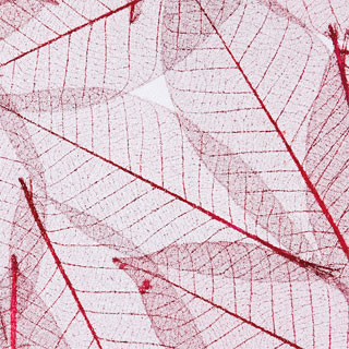 デザインパネル素材06